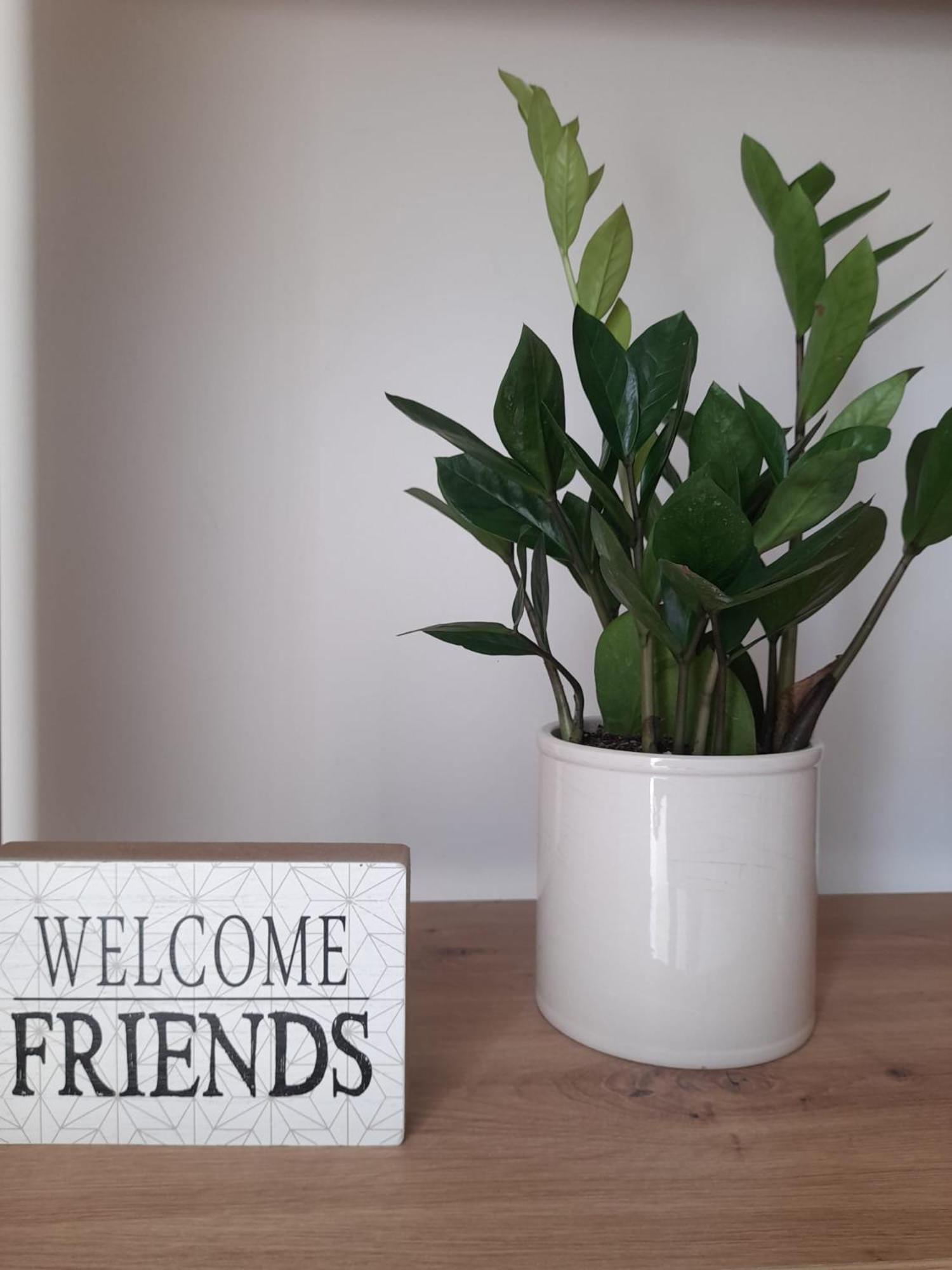 Tra Vento E Mare Apartment Lendinuso Ngoại thất bức ảnh